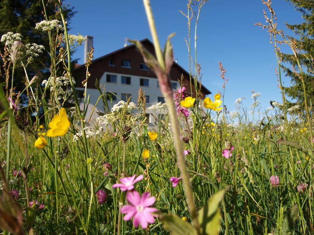 La Roche Du Tresor Village Vacances Longevilles-Mont-dʼOr Exteriér fotografie